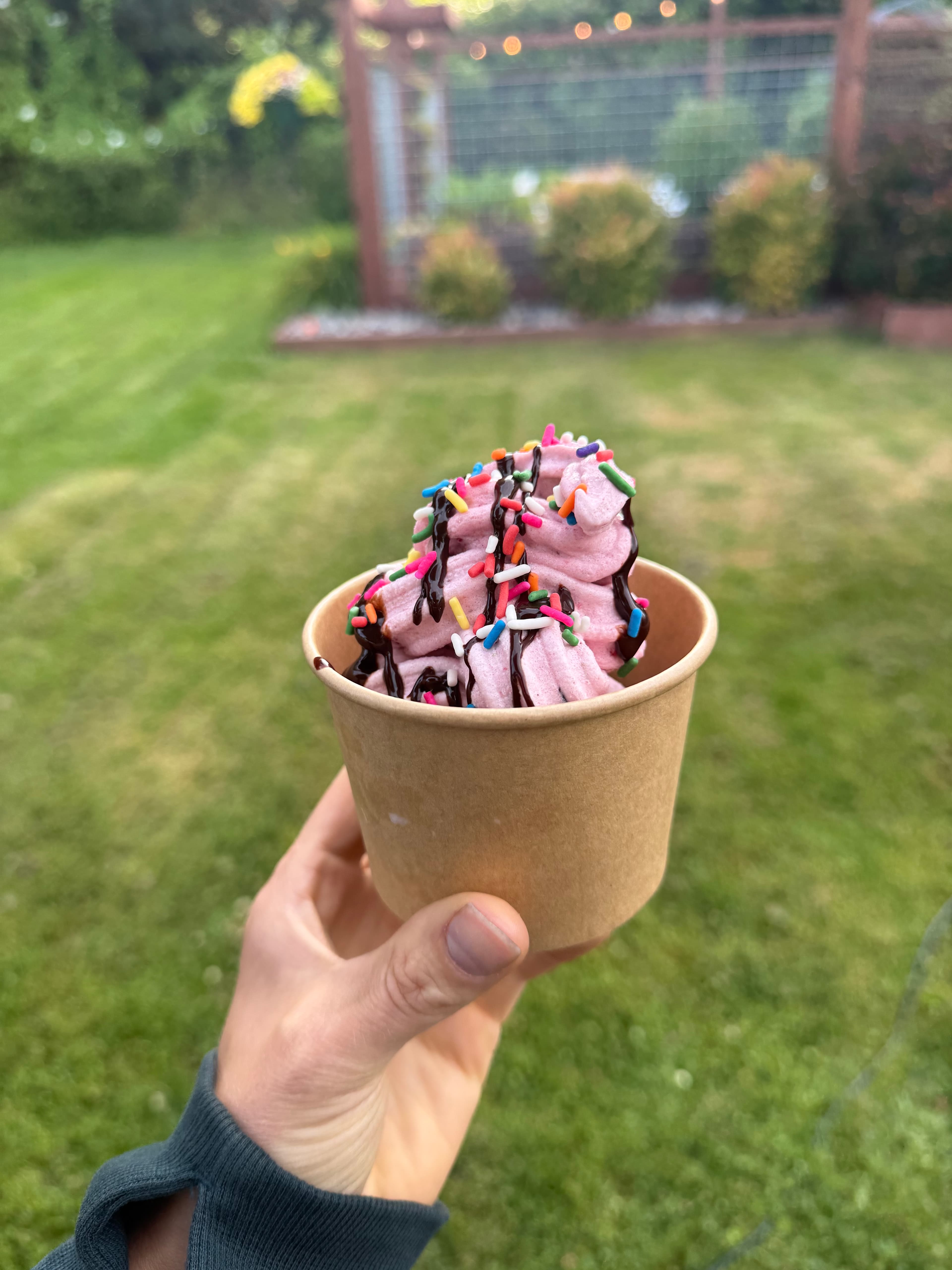 Kiwi's Cones — fresh fruit soft serve
