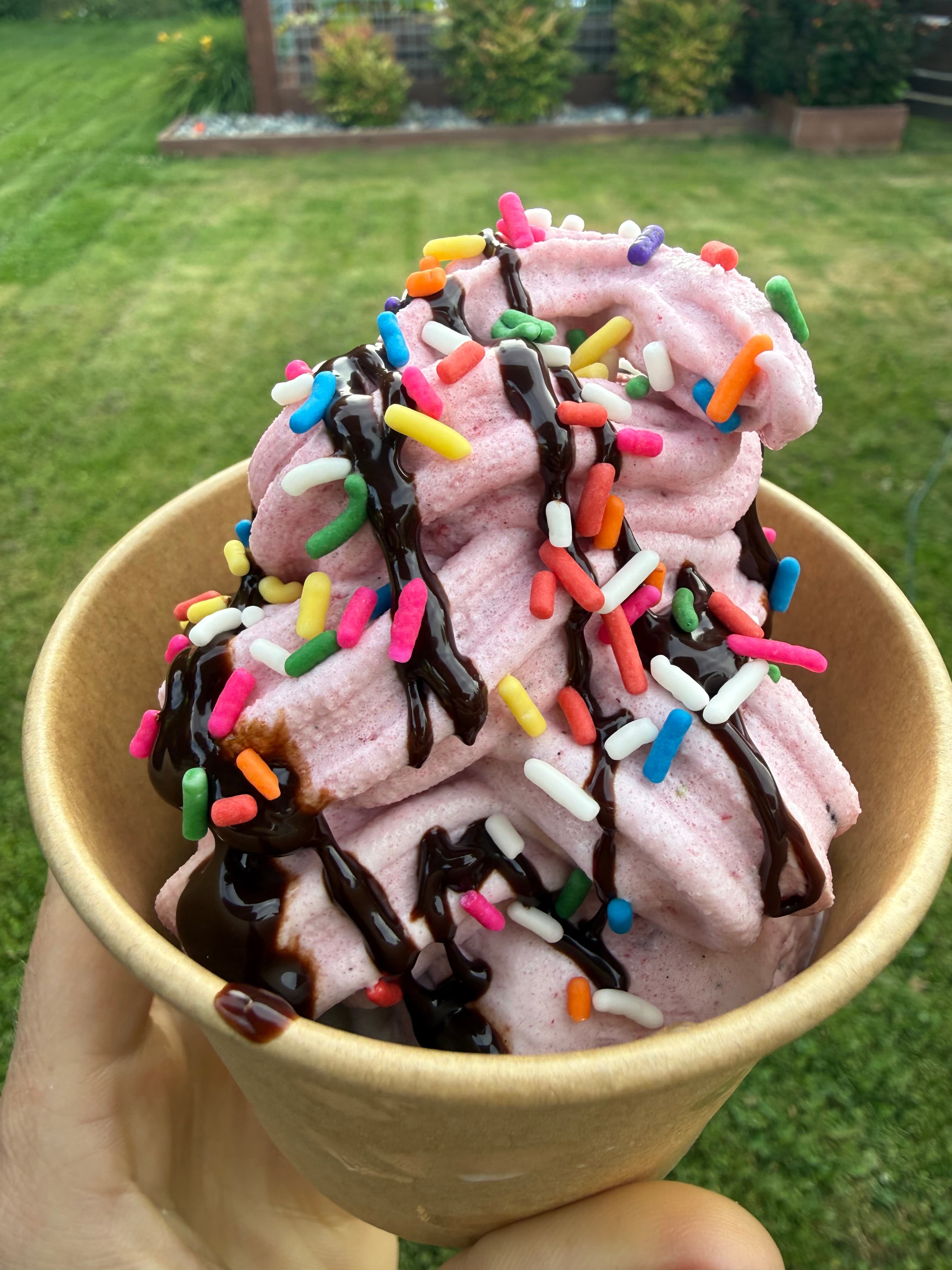 Kiwi's Cones — fresh fruit soft serve